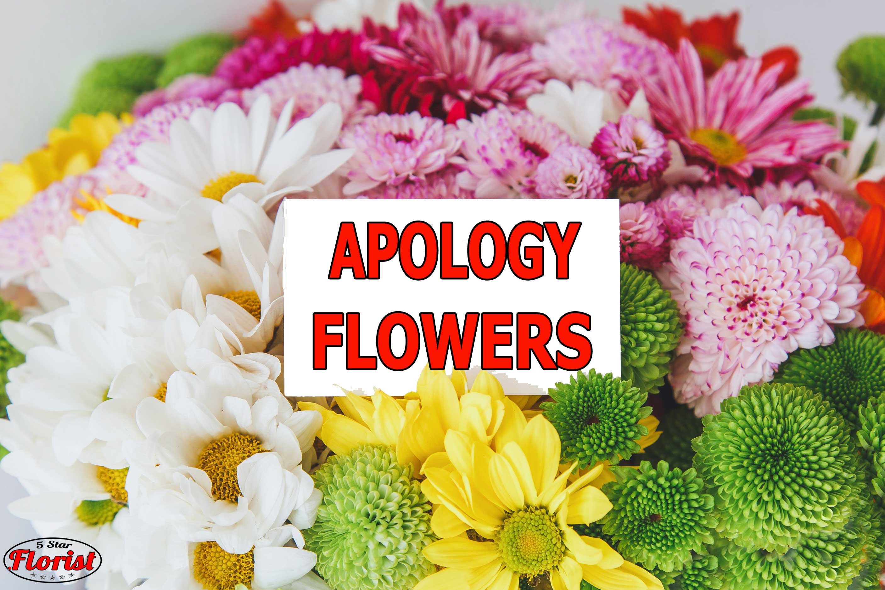 apology flowers Orangevale