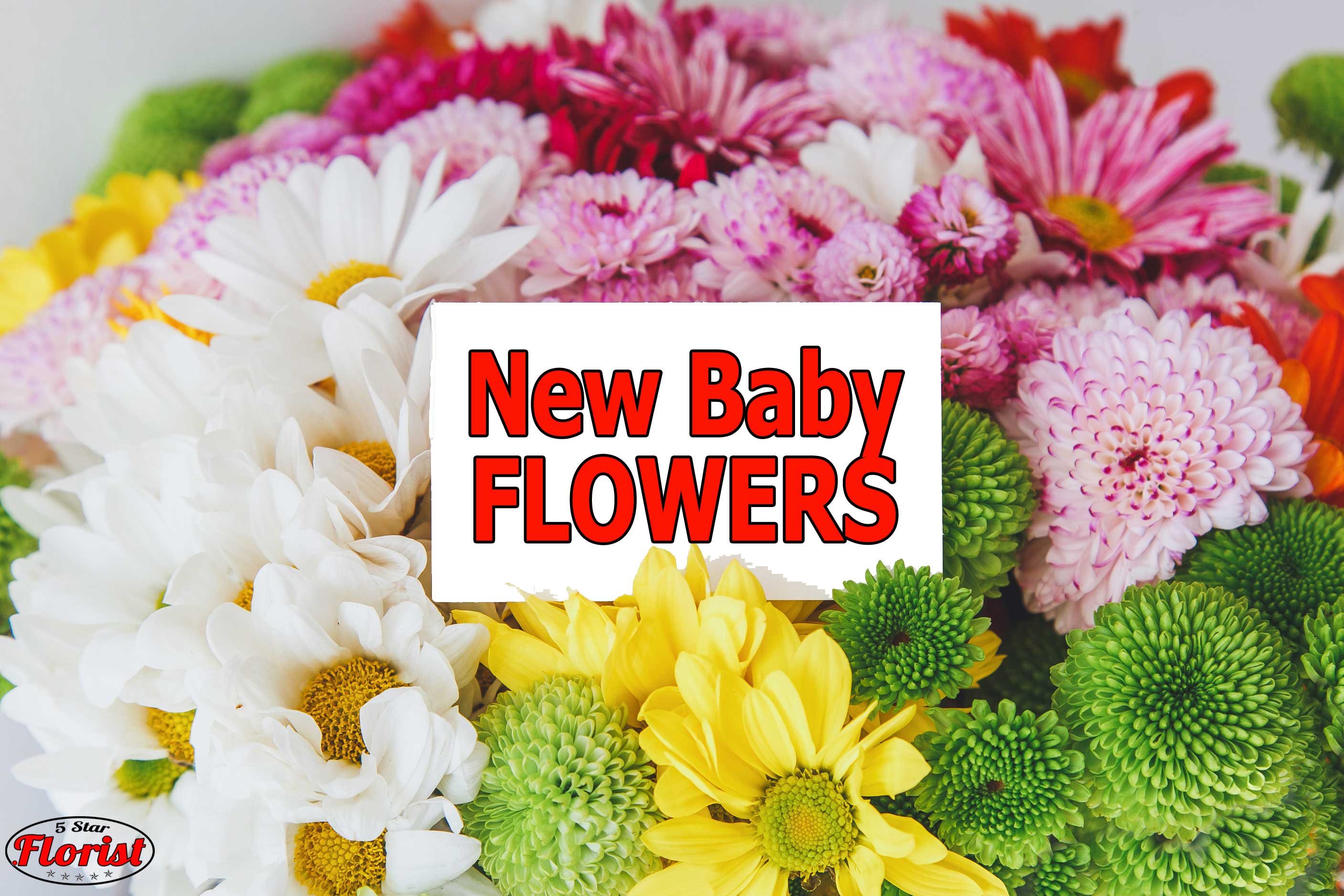 new baby flowers Orangevale